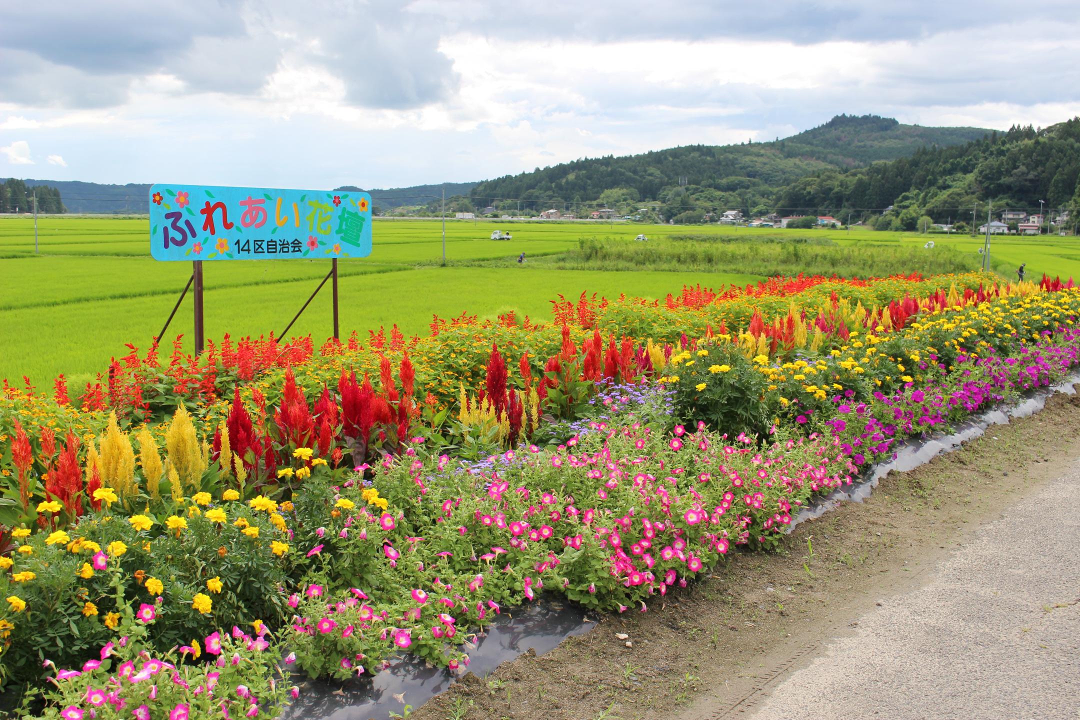 第14区自治会の花壇